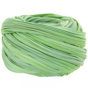 Ruban de soie Shibori Spring Green Borealis x10cm|raw }}