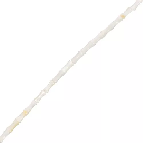 Perles tube de bambou en nacre 8x4 mm x38cm