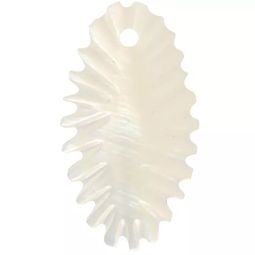 Pendentifs feuilles 28x16 mm en Nacre - Naturel x2
