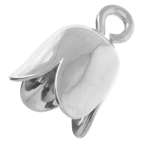 Coquilles avec anneau 6 mm Argenté x10