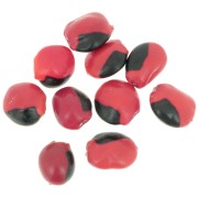 Graines huaeruro d'Amérique du Sud 10 mm Naturel x 10|raw }}