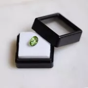 Tourmaline verte ovale 9.3x5.9 mm - 1.35cts