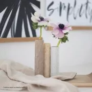 Pâte Fimo Effect 57gr - Effet Botanique Eglantier (n°770)