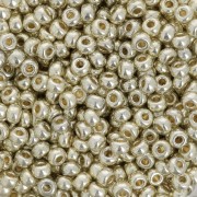 Rocaille Miyuki Duracoat 8/0 4201 - Galvanized Silver x100g