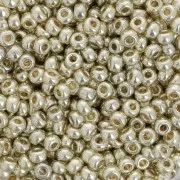 Rocaille Miyuki Duracoat 8/0 4201 - Galvanized Silver x100g