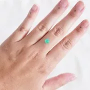 Chrysoprase rond 6.2 mm - 1.36 cts