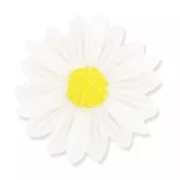 Cabochon pâquerette en résine 26 mm Blanc