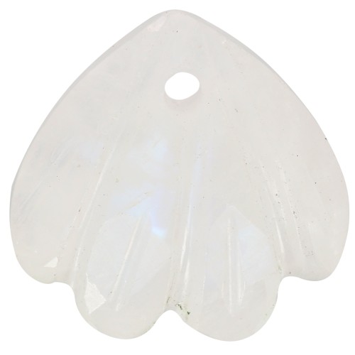 Sequin coquillage 12 mm en pierre gemme - Pierre de lune x1