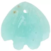 Sequin coquillage 12 mm en pierre gemme - Amazonite x1