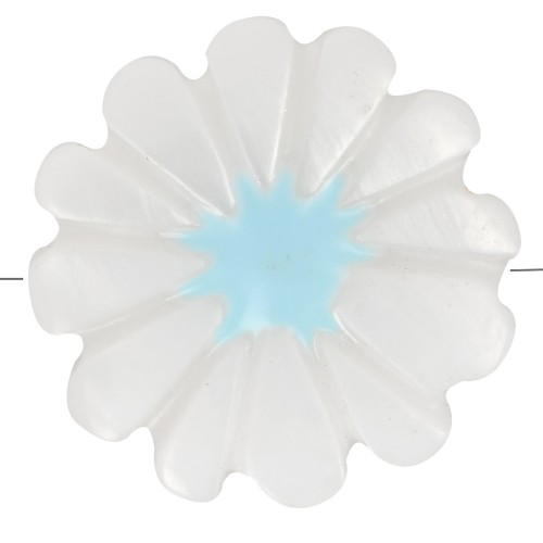 Perle fleur marguerite 12 mm en nacre - Blanc - Bleu x1