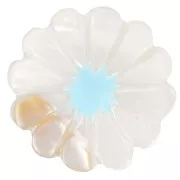 Perle fleur marguerite 12 mm en nacre - Blanc - Bleu x1