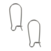 Boucles d'oreilles crochets dormeuses 20 mm en Acier inox x10