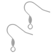 Crochets d'oreilles 21 mm avec anneau ouvert - Acier inoxydable 304L x50