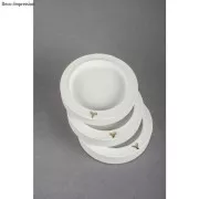 Raysin 200 - Poudre de céramique blanche pour moulage - Ultra strong x4kg