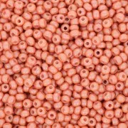 Perles rocailles Preciosa  11/0 2 mm - Permalux Light Brown x20g