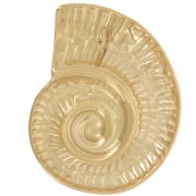 Pendentif coquillage 27x22 mm - Acier inoxydable 304L Doré x1