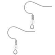 Crochets d'oreilles 20 mm perle verre facettée - Acier inox 304L - Crystal x2|raw }}