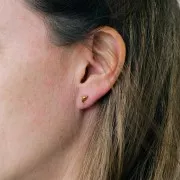 Boucles d'oreilles dauphin 4x9 mm - Acier inoxydable 316L Doré x2