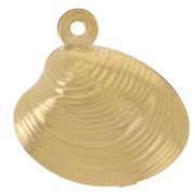 Breloque coquillage moule 14x13 mm - Acier inoxydable 303L Doré x1|raw }}