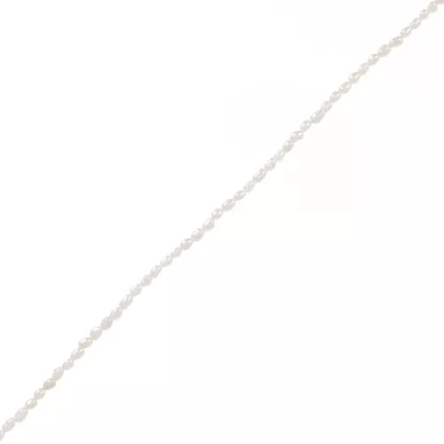 Perles d'eau douce grain de riz - 3x2 mm - Grade AA Blanc x40cm