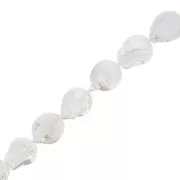 Perle d'eau douce irrégulière - palet rond 21 mm - Grade AA+ Blanc x1