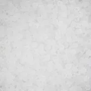 Toho Treasures 1.8 mm TO1T1F - Transparent Crystal Frosted x8g