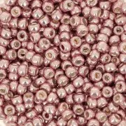 Rocaille Toho 8/0 TO8R552 - Fairy Wings Galvanized x8g