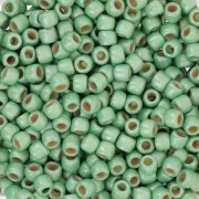 Rocaille Toho 8/0 TO8RPF570F - PF Mint Green Galvanized Frosted x8g|raw }}