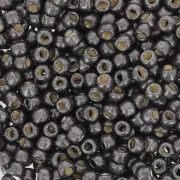 Rocaille Toho 8/0 TO8RPF595F - PF Cool Gray Mat Galvanized x8g