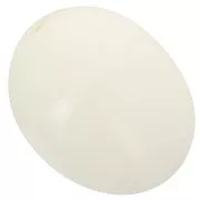 Perle olive 24x19 mm en résine opaque - Ecru x1
