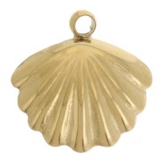 Breloque coquillage 10 mm avec perle imitation nacre - Acier inox 304L Doré x1