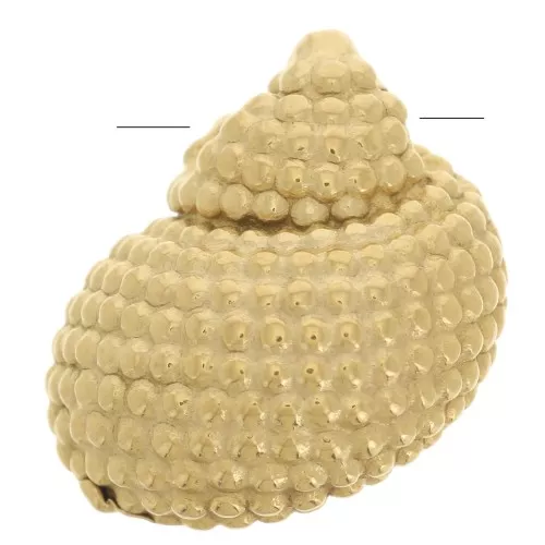 Breloque coquillage 14x12 mm - Acier inoxydable 304L Doré x1