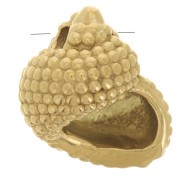 Breloque coquillage 14x12 mm - Acier inoxydable 304L Doré x1