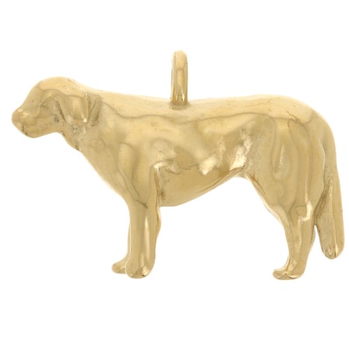Breloque chien Golden 13x20 mm - Acier inoxydable 304L Doré x1