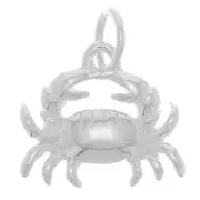 Breloque crabe 10x12 mm avec anneau fermé - Argent 925 x1