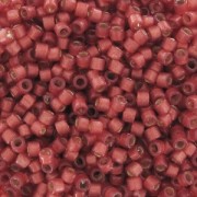 Miyuki Delica Duracoat 11/0 DB2173 - Alabaster S/L Dyed Lt Watermelon x8g|raw }}