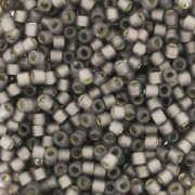 Miyuki Delica Duracoat 11/0 DB2184 - Alabaster Silverline Dyed Bramble x8g