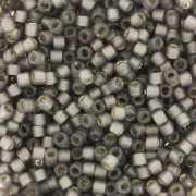Miyuki Delica Duracoat 11/0 DB2184 - Alabaster Silverline Dyed Bramble x8g