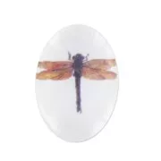 Cabochon ovale décoré 18x13 mm Libellule x1