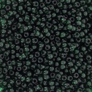 Perles rocailles Preciosa  11/0 2 mm - - Transparent Pine Green x20g