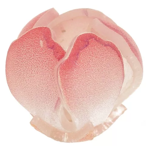 Perle fleur 14 mm en plastique - Rouge clair x1