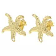 Clous d'oreilles étoile de mer 14 mm - Doré à l'or fin x2
