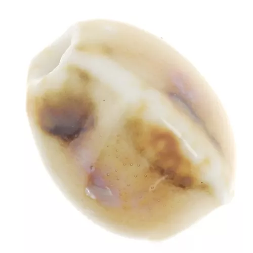 Perles ovales en céramique 13x9 mm - Beige - Ecru marbré x10