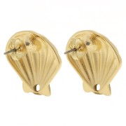 Clous d'oreilles coquillage 22 mm - Doré à l'or fin x2