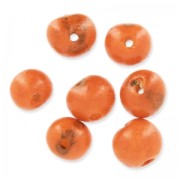 Graines açaï du Brésil 8 mm Orange x 10