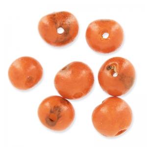 Graines açaï du Brésil 8 mm Orange x 10