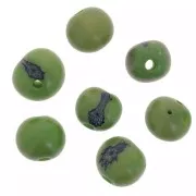 Graines açaï du Brésil 8 mm Vert x 10