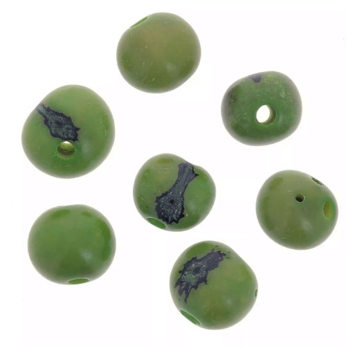 Graines açaï du Brésil 8 mm Vert x 10