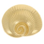 Poussoir slider coquillage 15x12 mm pour lacet 10 mm - Doré à l'or fin x1|raw }}