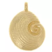Pendentif coquillage 23x17 mm - Doré à l'or fin x1